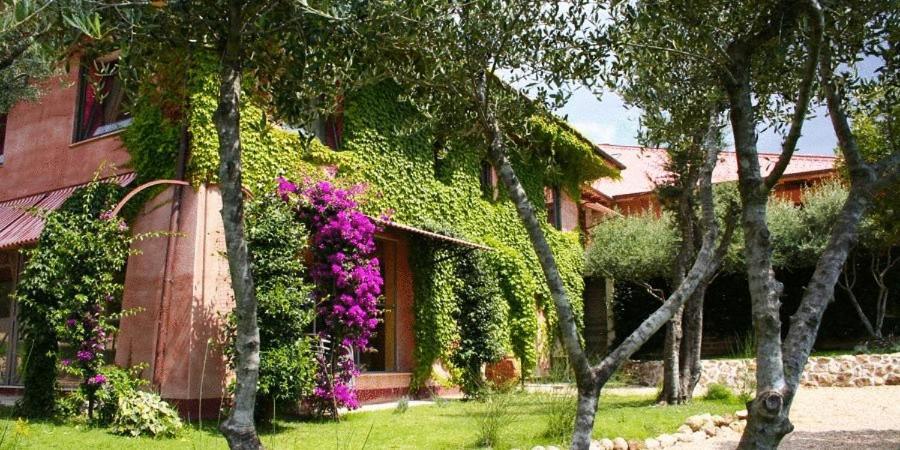 L'Isola Di Rosa - Relais & Hotel Di Charme Черветере Экстерьер фото